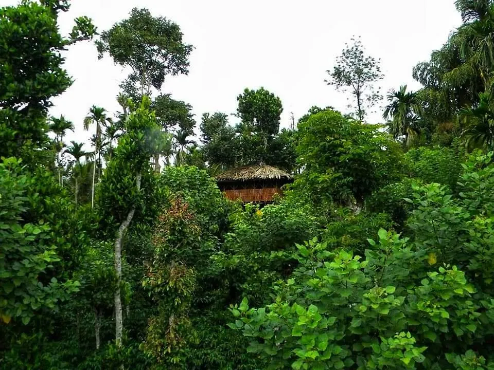 אתר נופש סולטאן באטרי Greens Tree House & Wood House
