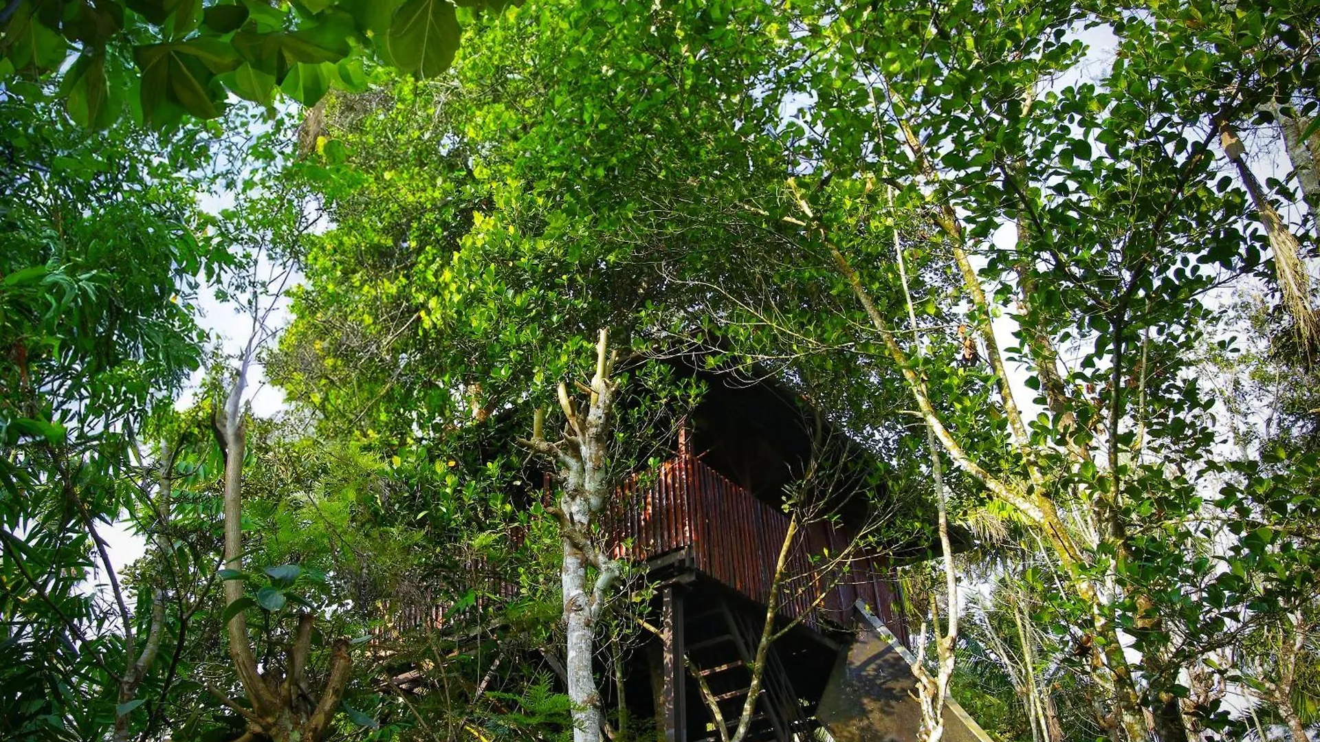 סולטאן באטרי Greens Tree House & Wood House