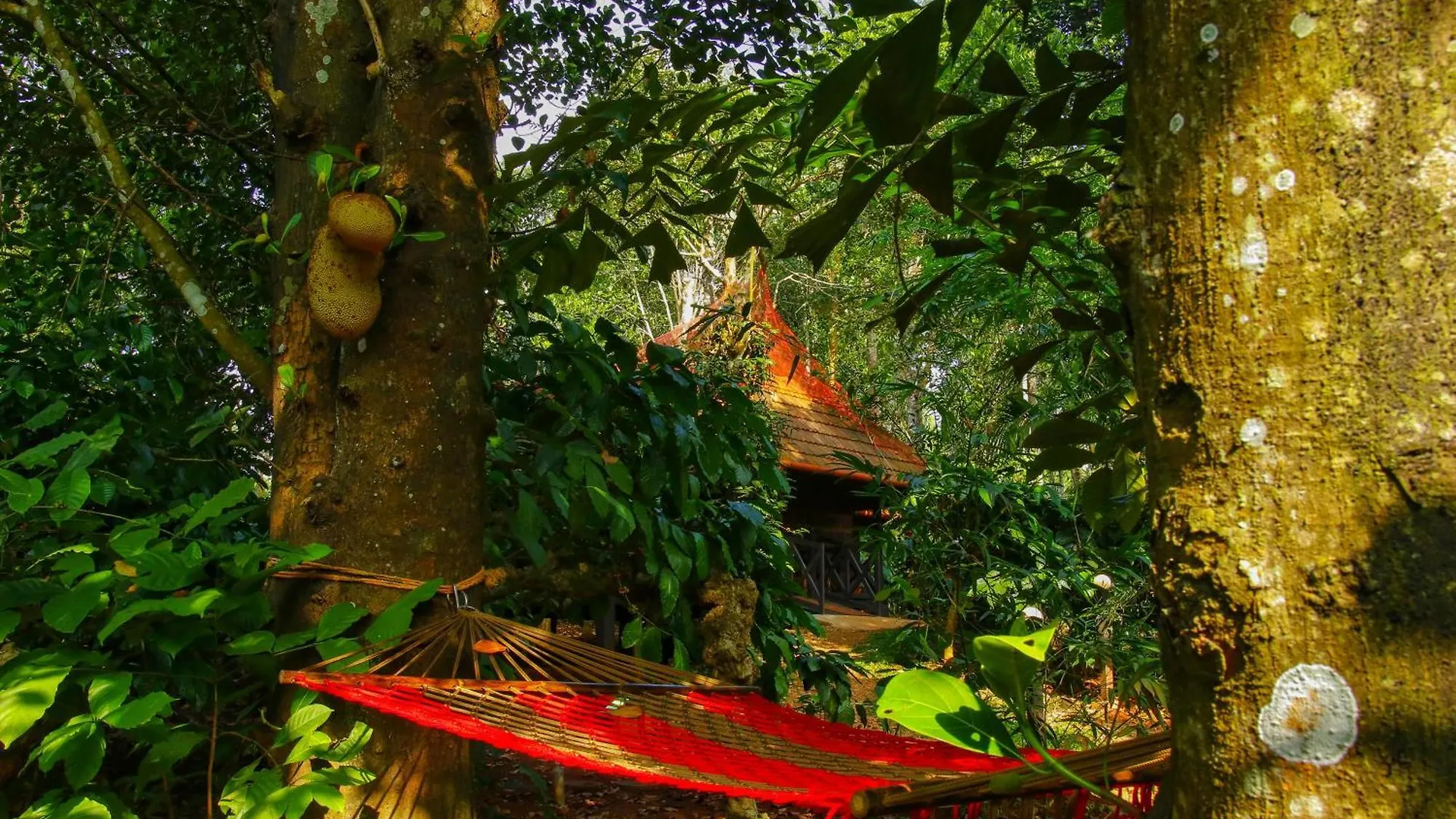 אתר נופש סולטאן באטרי Greens Tree House & Wood House הודו