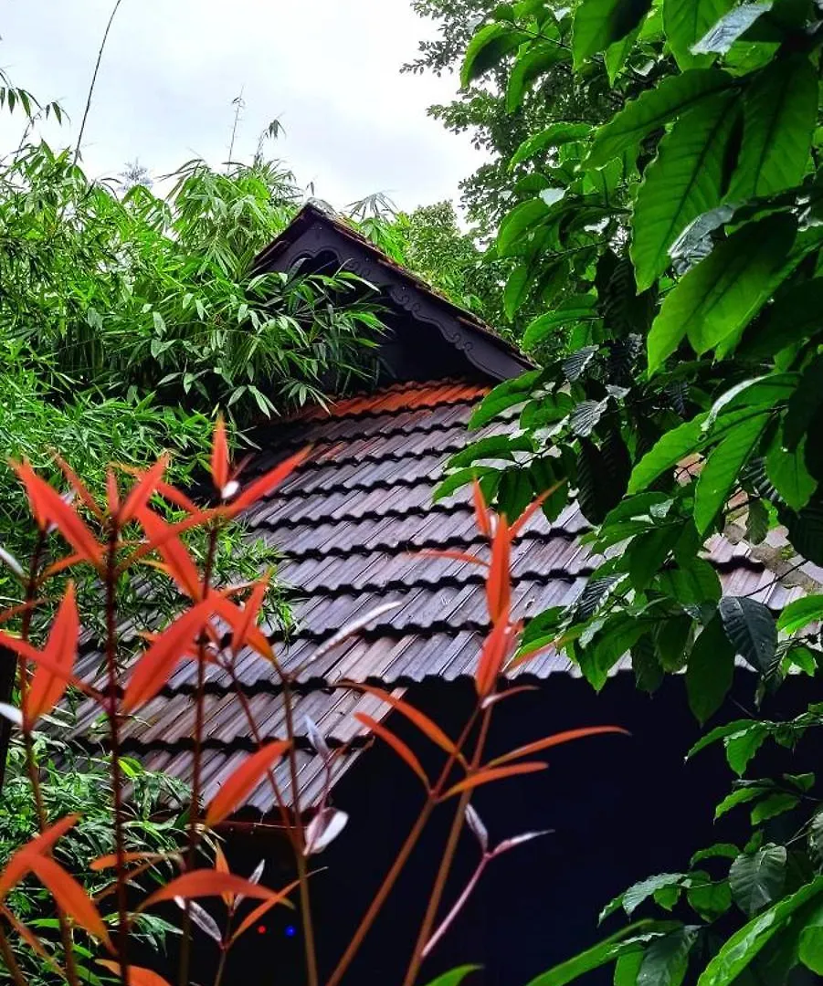 סולטאן באטרי Greens Tree House & Wood House 0*, סולטאן באטרי