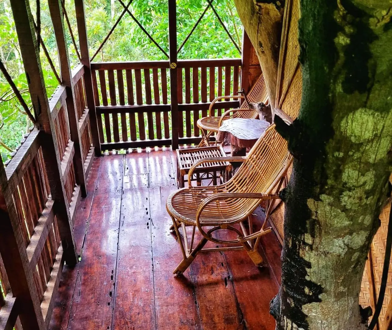 סולטאן באטרי Greens Tree House & Wood House סולטאן באטרי