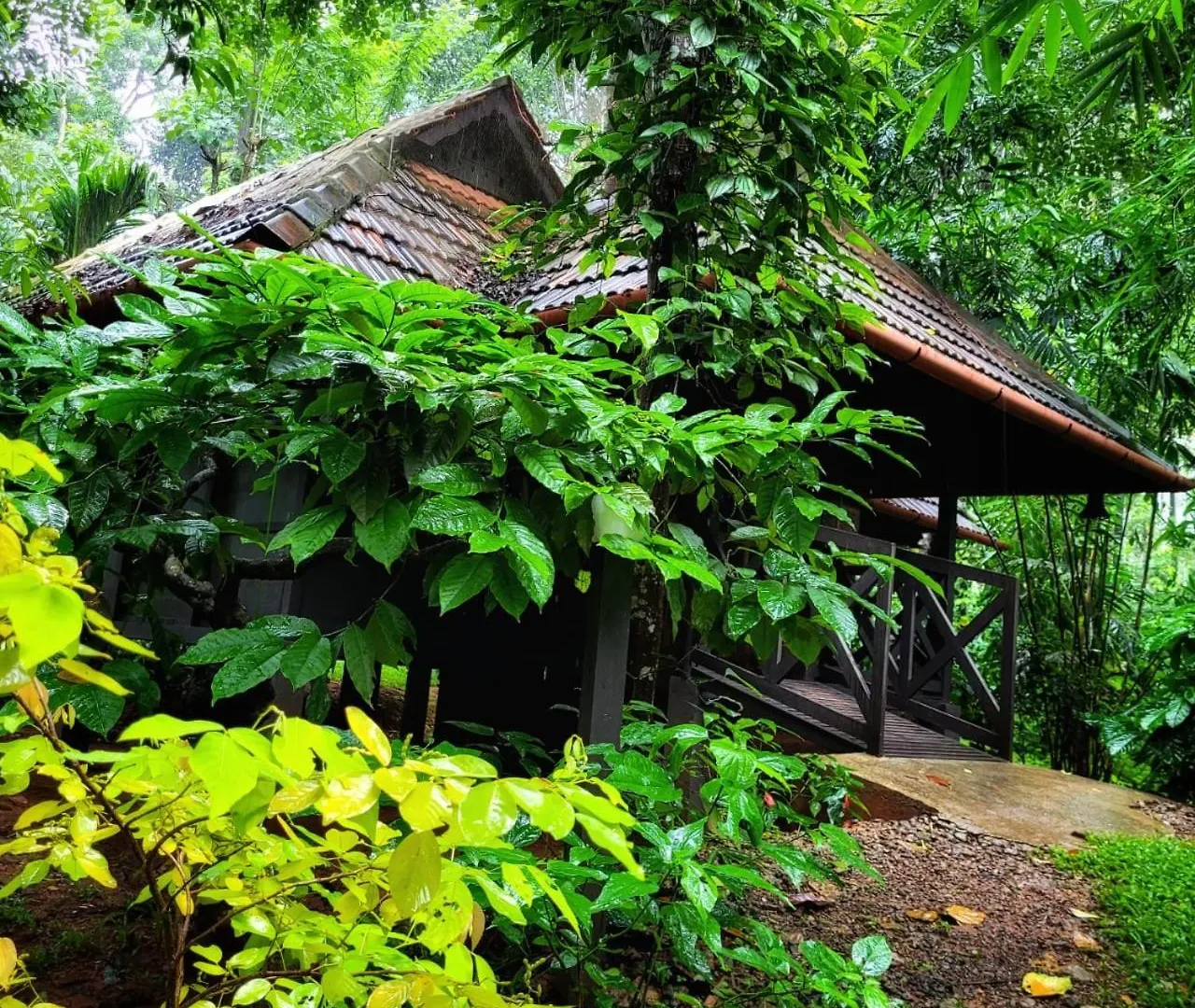 אתר נופש סולטאן באטרי Greens Tree House & Wood House