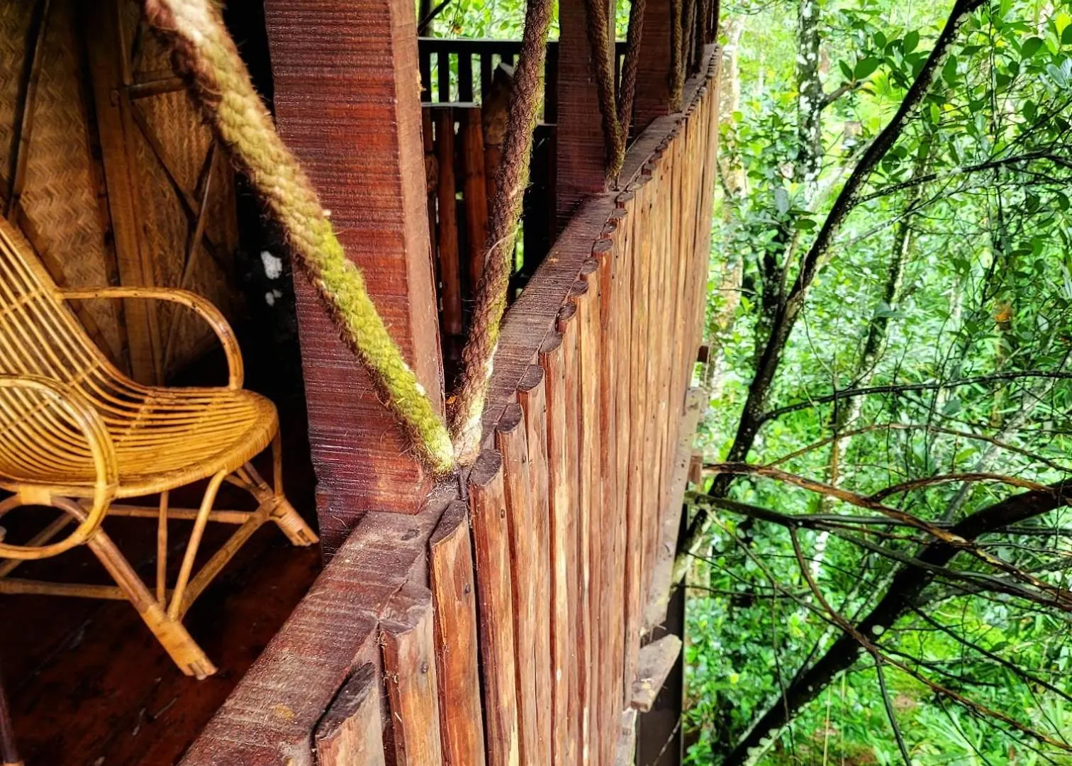 סולטאן באטרי Greens Tree House & Wood House הודו