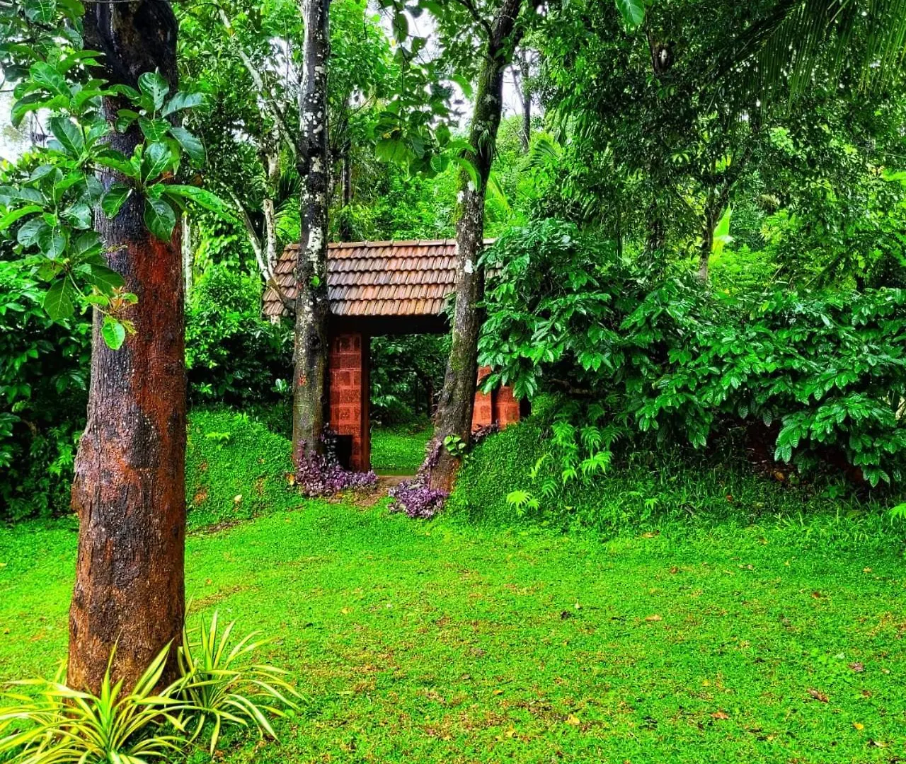 סולטאן באטרי Greens Tree House & Wood House