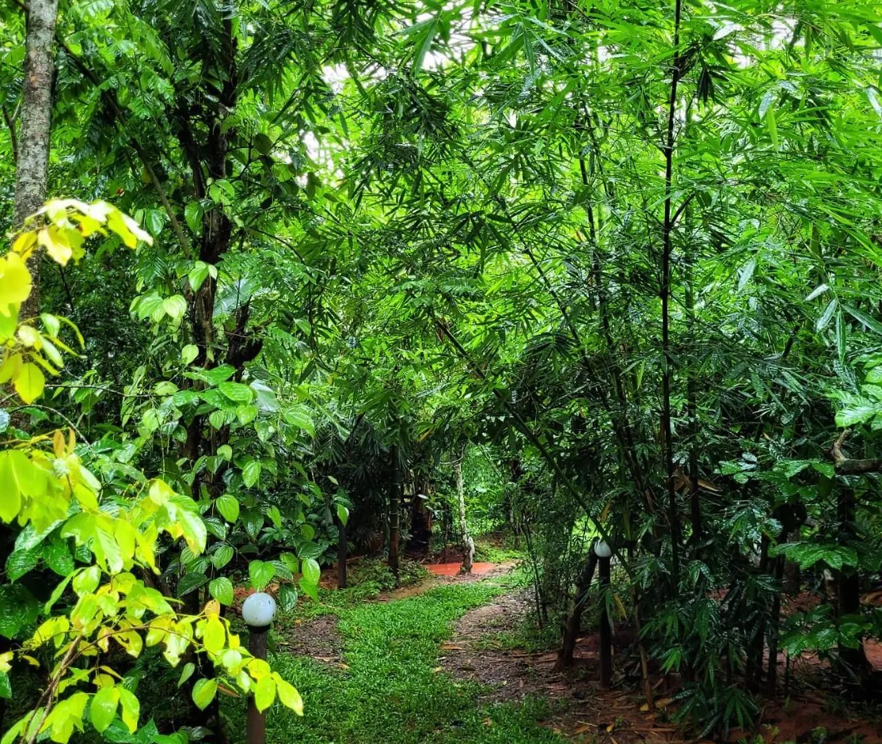 סולטאן באטרי Greens Tree House & Wood House סולטאן באטרי