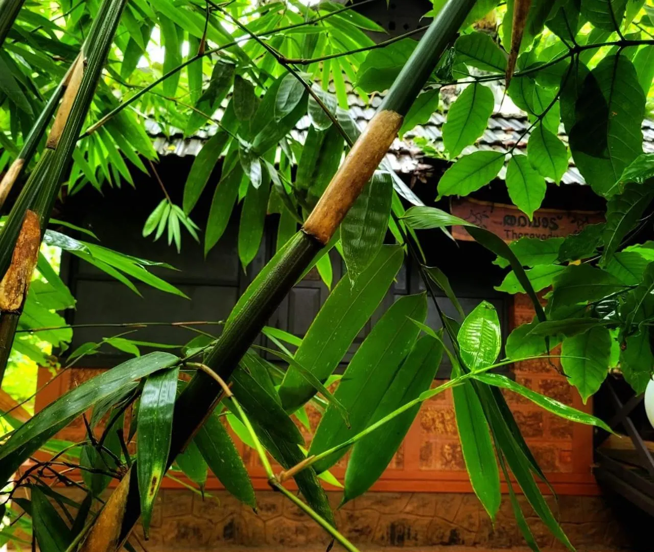 סולטאן באטרי Greens Tree House & Wood House הודו