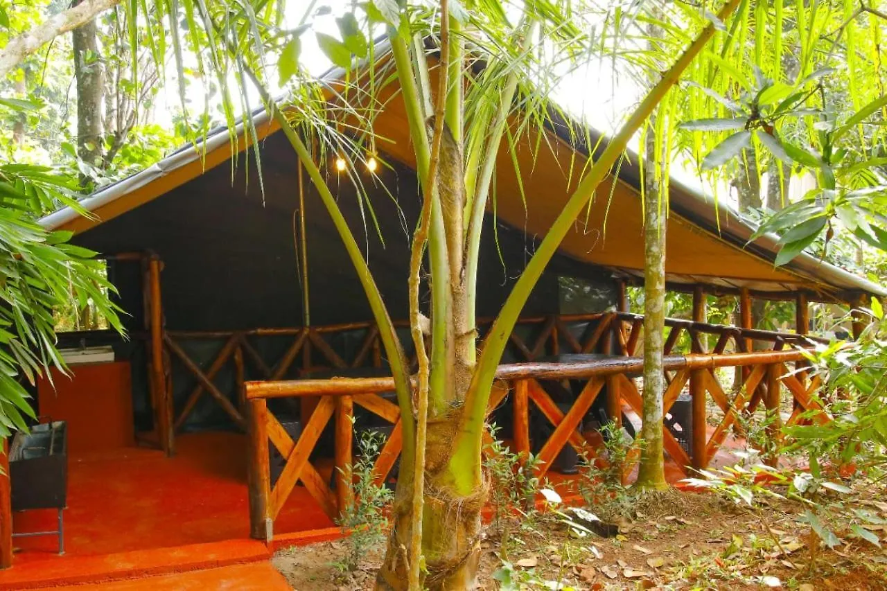 Greens Tree House & Wood House Sultan Bathery