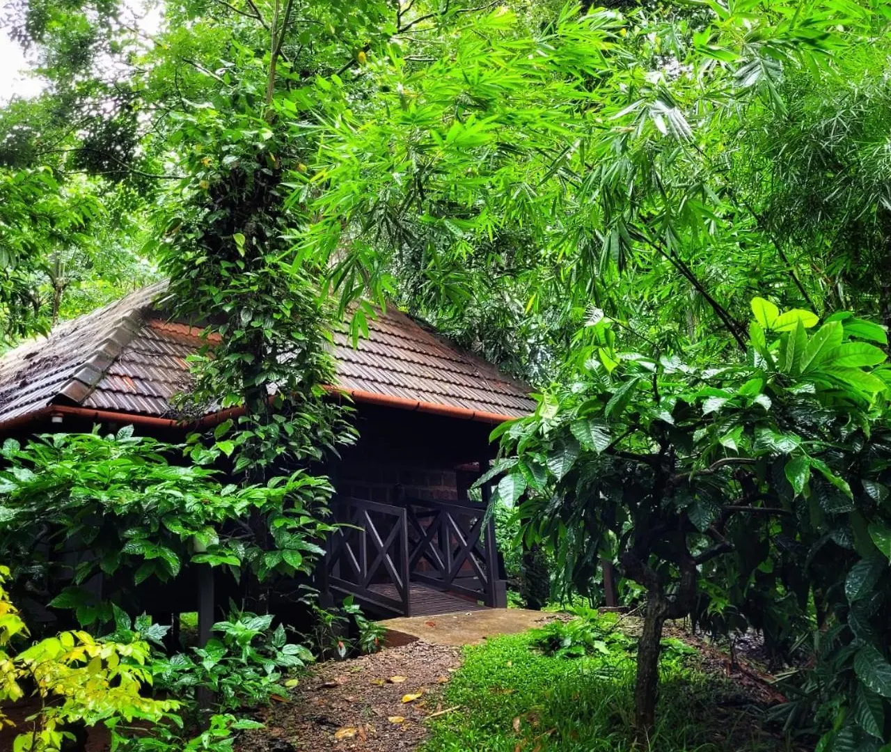 Greens Tree House & Wood House Sultan Bathery 0*,  Indie