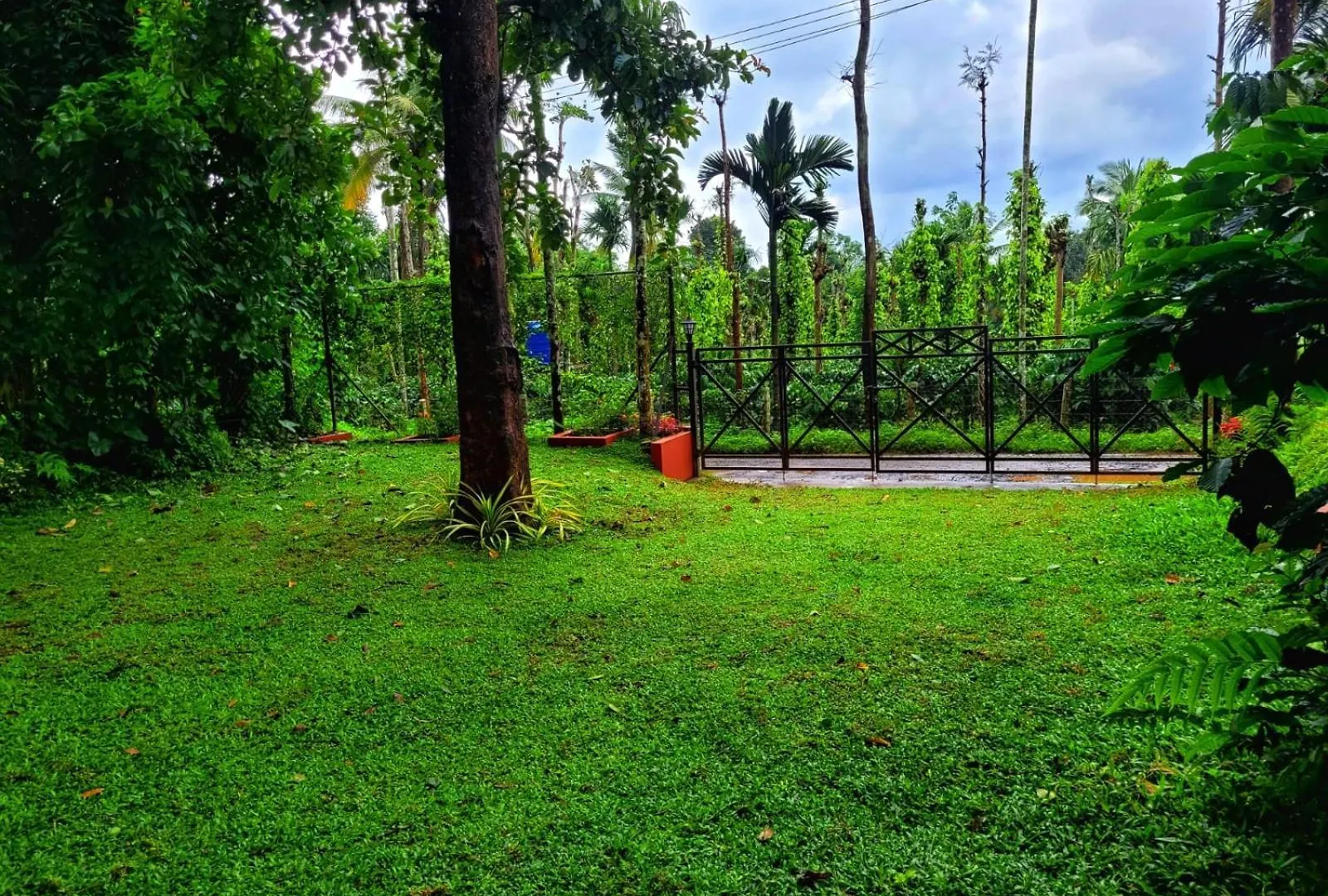 Rezort Greens Tree House & Wood House Sultan Bathery