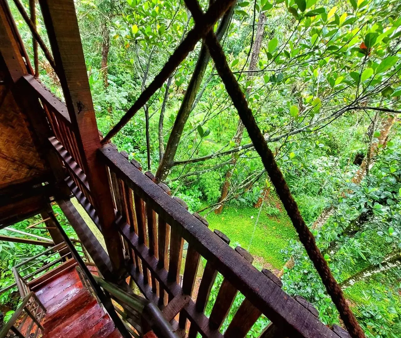 Rezort Greens Tree House & Wood House Sultan Bathery Indie