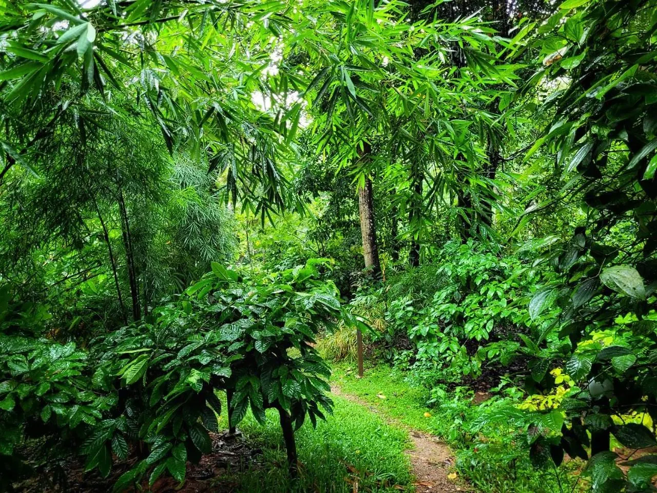 Rezort Greens Tree House & Wood House Sultan Bathery